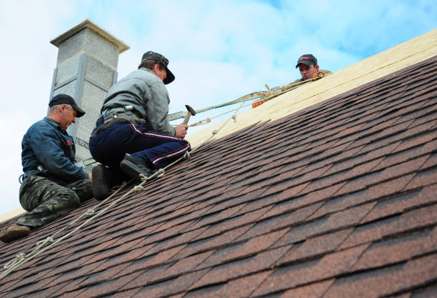 Best Roof Gutter Cleaning  in Salem Heights, OH